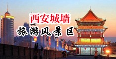 大鸡吧干逼中国陕西-西安城墙旅游风景区